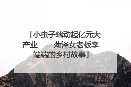 小虫子蠕动起亿元大产业——菏泽女老板李端端的乡村故事