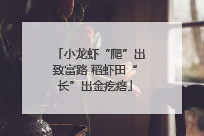 小龙虾“爬”出致富路 稻虾田“长”出金疙瘩