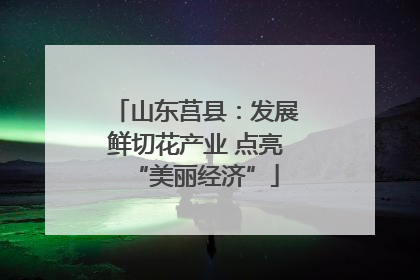山东莒县：发展鲜切花产业 点亮“美丽经济”
