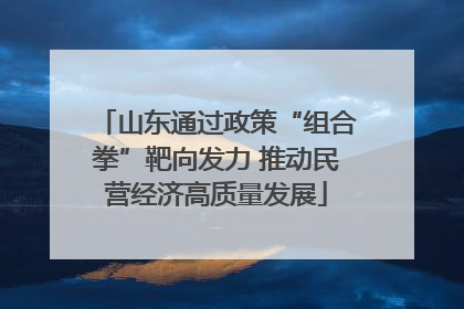山东通过政策“组合拳”靶向发力 推动民营经济高质量发展