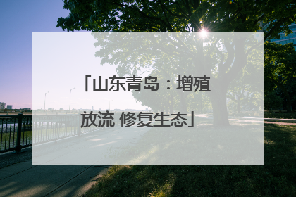 山东青岛：增殖放流 修复生态
