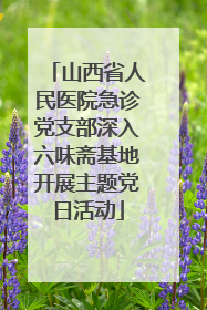 山西省人民医院急诊党支部深入六味斋基地开展主题党日活动