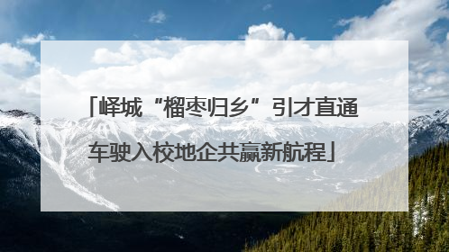 峄城“榴枣归乡”引才直通车驶入校地企共赢新航程