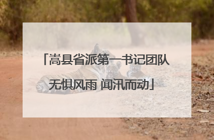 嵩县省派第一书记团队 无惧风雨 闻汛而动