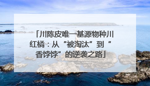 川陈皮唯一基源物种川红橘：从“被淘汰”到“香饽饽”的逆袭之路
