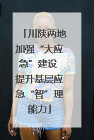 川陕两地加强“大应急”建设 提升基层应急“智”理能力