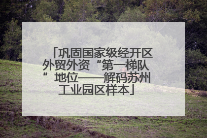 巩固国家级经开区外贸外资“第一梯队”地位——解码苏州工业园区样本