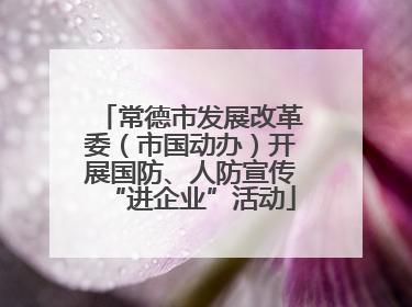常德市发展改革委（市国动办）开展国防、人防宣传“进企业”活动