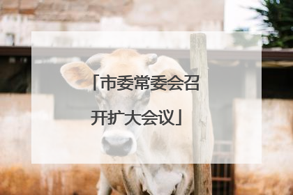 市委常委会召开扩大会议