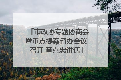 市政协专题协商会暨重点提案督办会议召开 黄喜忠讲话