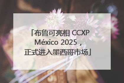 布鲁可亮相 CCXP México 2025，正式进入墨西哥市场