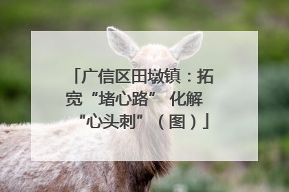 广信区田墩镇：拓宽“堵心路” 化解“心头刺”（图）