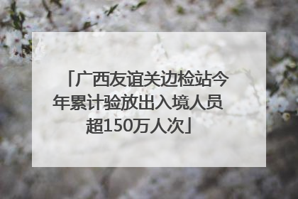 广西友谊关边检站今年累计验放出入境人员超150万人次