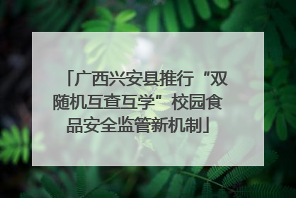 广西兴安县推行“双随机互查互学”校园食品安全监管新机制