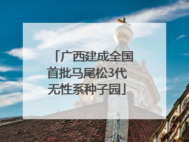 广西建成全国首批马尾松3代无性系种子园