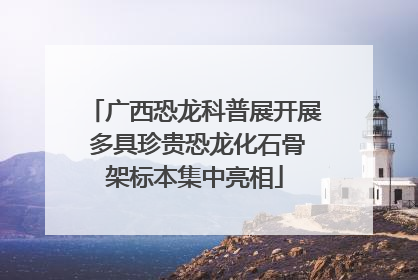 广西恐龙科普展开展 多具珍贵恐龙化石骨架标本集中亮相