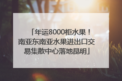年运8000柜水果！南亚东南亚水果进出口交易集散中心落地昆明