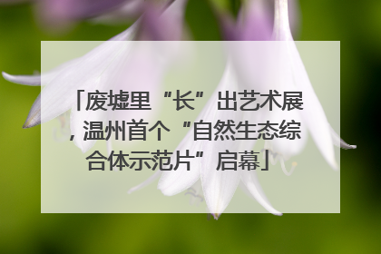 废墟里“长”出艺术展，温州首个“自然生态综合体示范片”启幕