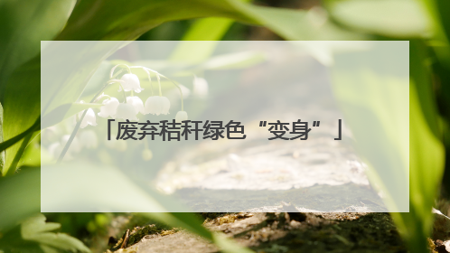 废弃秸秆绿色“变身”