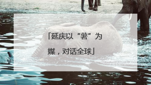 延庆以“薯”为媒，对话全球