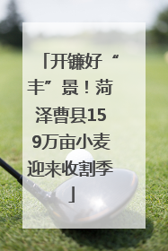 开镰好“丰”景！菏泽曹县159万亩小麦迎来收割季