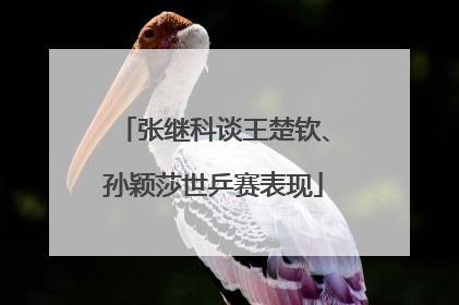 张继科谈王楚钦、孙颖莎世乒赛表现