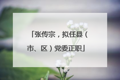 张传宗，拟任县（市、区）党委正职