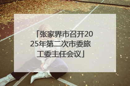 张家界市召开2025年第二次市委旅工委主任会议