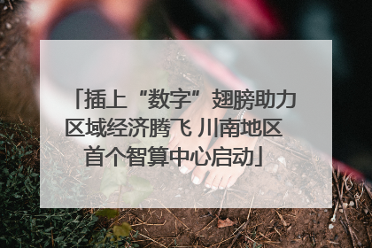 插上“数字”翅膀助力区域经济腾飞 川南地区首个智算中心启动