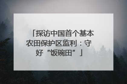 探访中国首个基本农田保护区监利：守好“饭碗田”