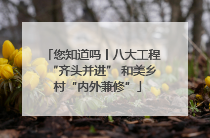 您知道吗丨八大工程“齐头并进” 和美乡村“内外兼修”