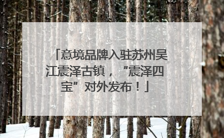 意境品牌入驻苏州吴江震泽古镇，“震泽四宝”对外发布！