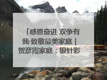 感恩奋进 双争有我·致敬最美家庭｜贺彦霞家庭：银针彩线绣出好日子