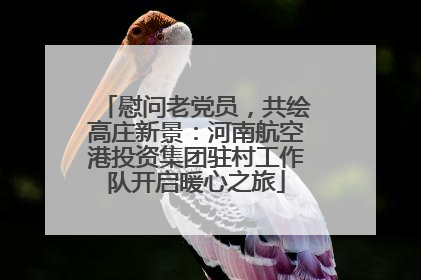 慰问老党员，共绘高庄新景：河南航空港投资集团驻村工作队开启暖心之旅