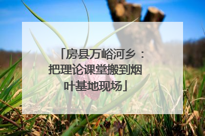 房县万峪河乡：把理论课堂搬到烟叶基地现场