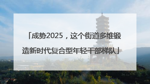 成势2025，这个街道多维锻造新时代复合型年轻干部梯队