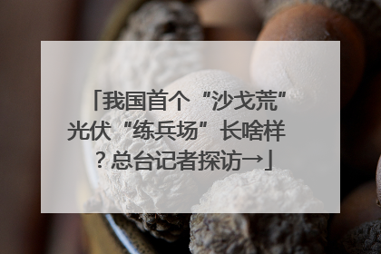 我国首个“沙戈荒”光伏“练兵场”长啥样？总台记者探访→