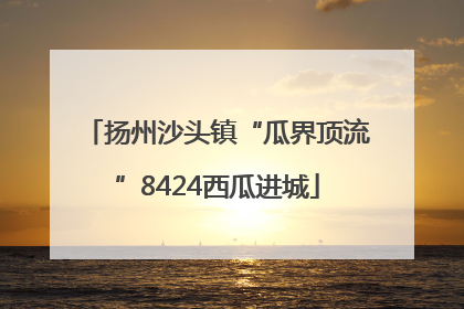 扬州沙头镇“瓜界顶流”8424西瓜进城