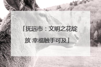 抚远市：文明之花绽放 幸福触手可及