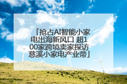 抢占AI智能小家电出海新风口 超100家跨境卖家探访慈溪小家电产业带