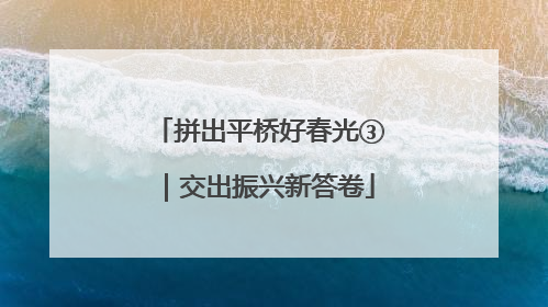 拼出平桥好春光③｜交出振兴新答卷