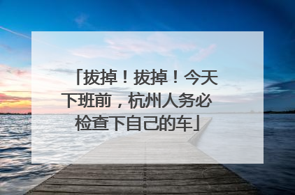 拔掉！拔掉！今天下班前，杭州人务必检查下自己的车