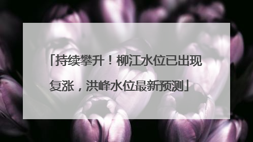 持续攀升！柳江水位已出现复涨，洪峰水位最新预测
