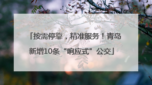按需停靠，精准服务！青岛新增10条“响应式”公交