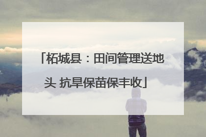 柘城县：田间管理送地头 抗旱保苗保丰收
