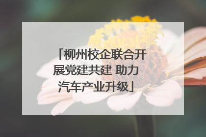 柳州校企联合开展党建共建 助力汽车产业升级