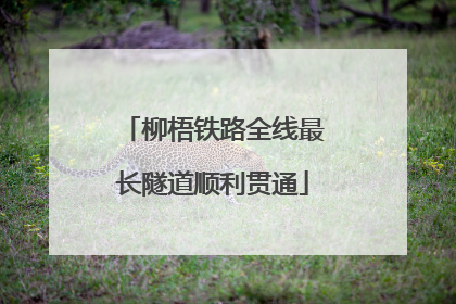 柳梧铁路全线最长隧道顺利贯通