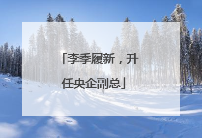 李季履新，升任央企副总