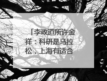 李政道所许金祥：科研是马拉松，上海有适合的跑道｜扎根上海，从0到1