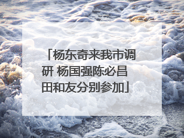 杨东奇来我市调研 杨国强陈必昌田和友分别参加
